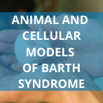 Animal Models
